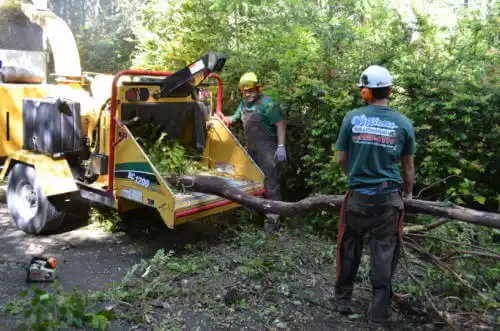 tree services New Meadows